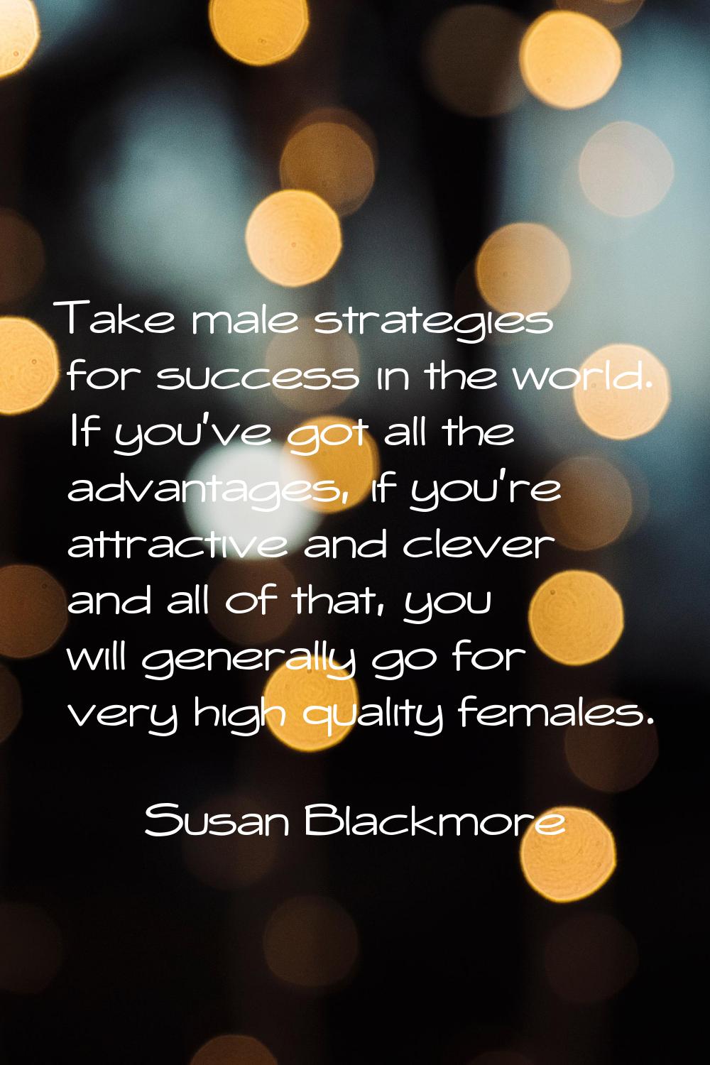 Take male strategies for success in the world. If you've got all the advantages, if you're attracti