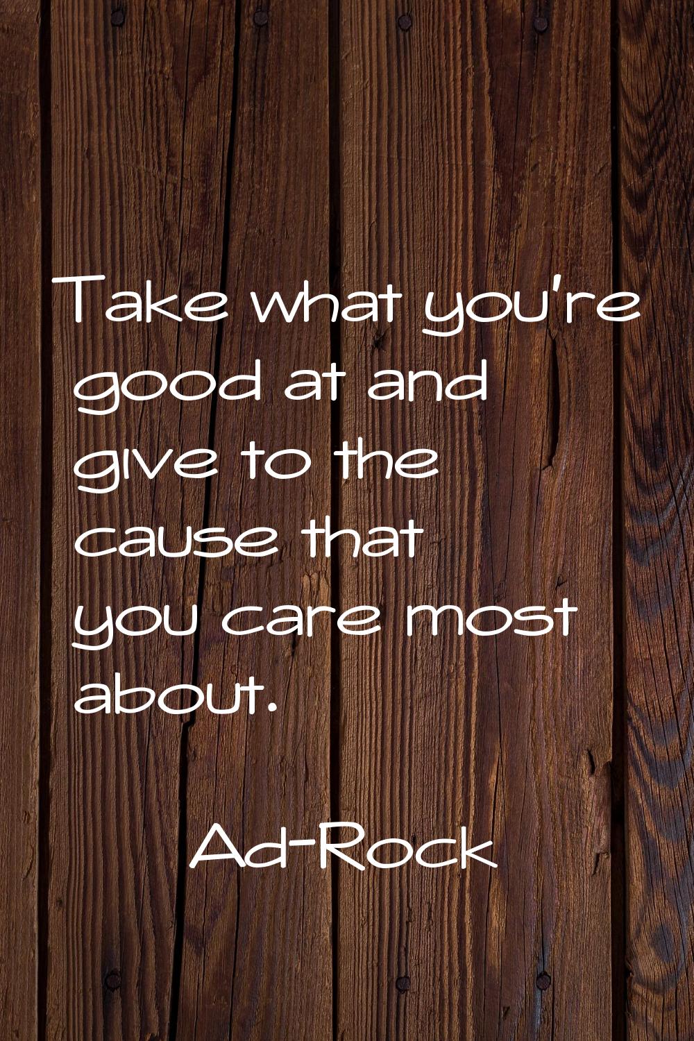 Take what you're good at and give to the cause that you care most about.