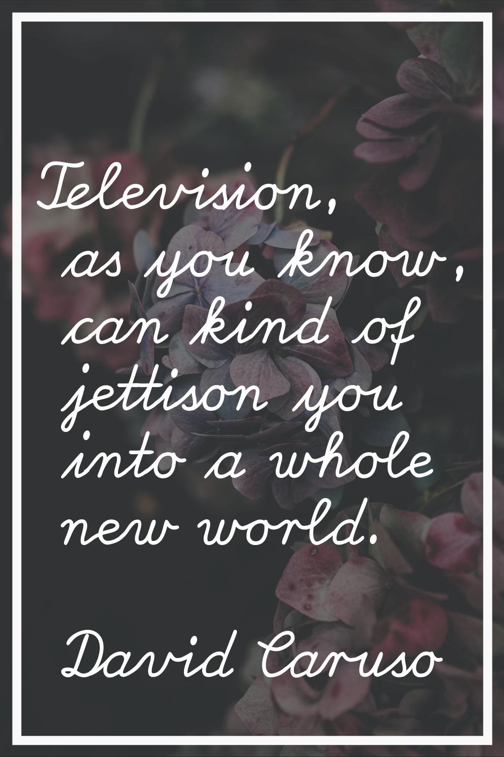 Television, as you know, can kind of jettison you into a whole new world.