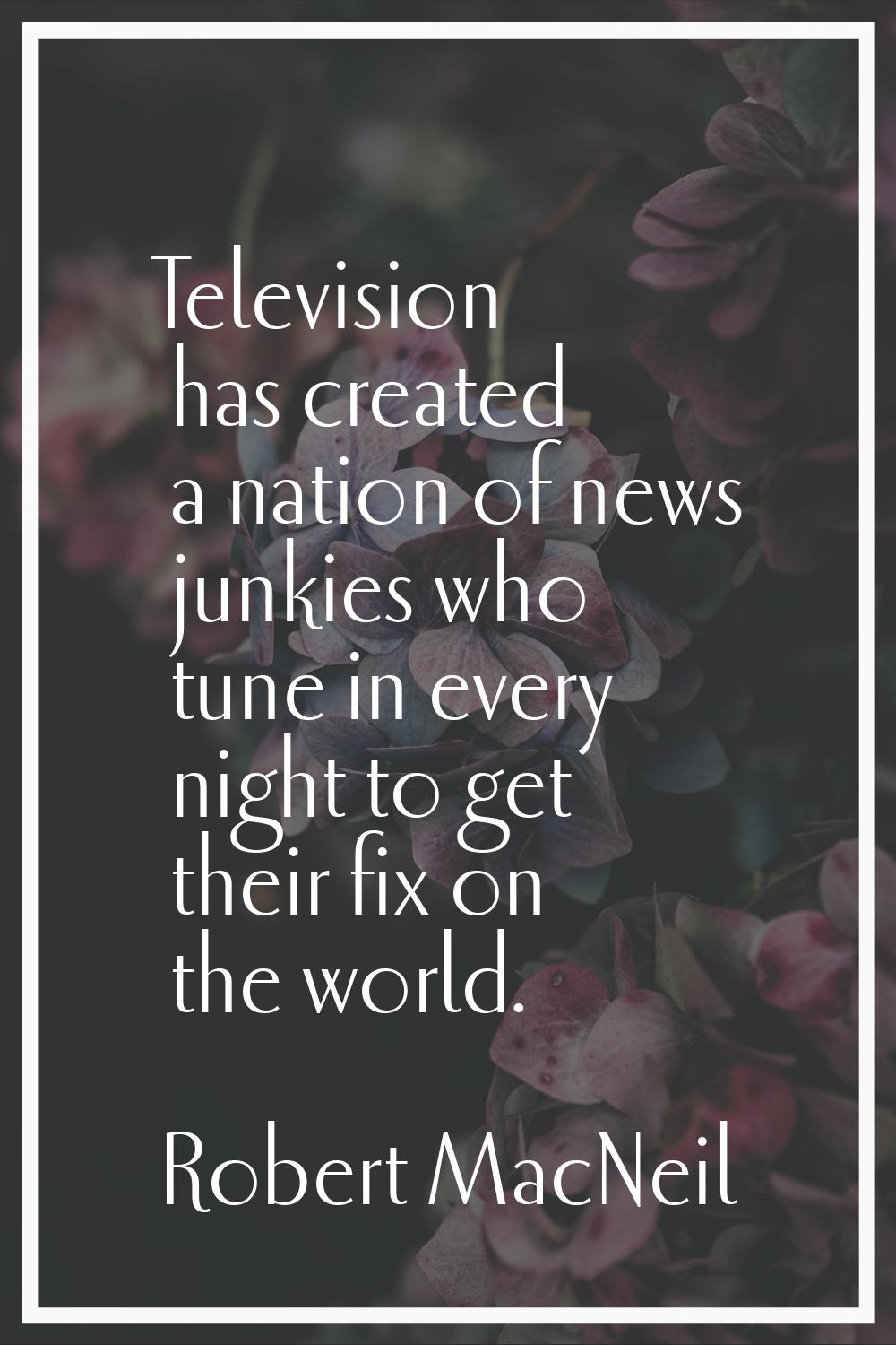 Television has created a nation of news junkies who tune in every night to get their fix on the wor