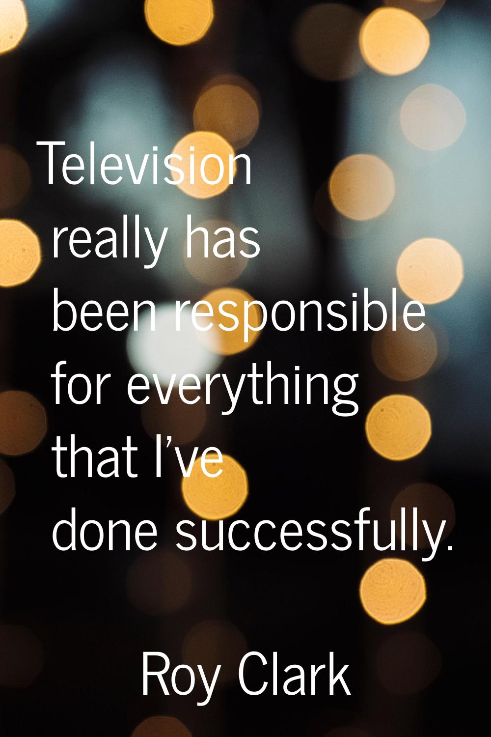 Television really has been responsible for everything that I've done successfully.