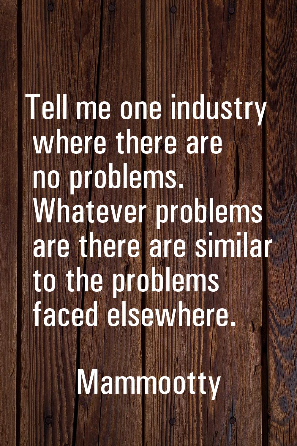 Tell me one industry where there are no problems. Whatever problems are there are similar to the pr
