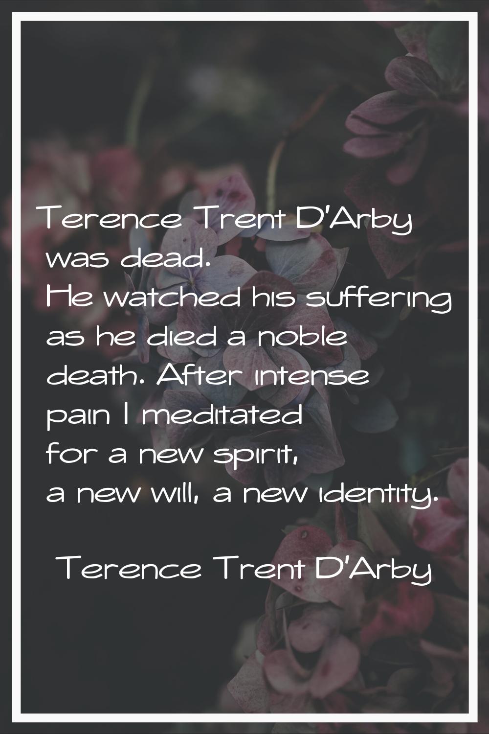 Terence Trent D'Arby was dead. He watched his suffering as he died a noble death. After intense pai