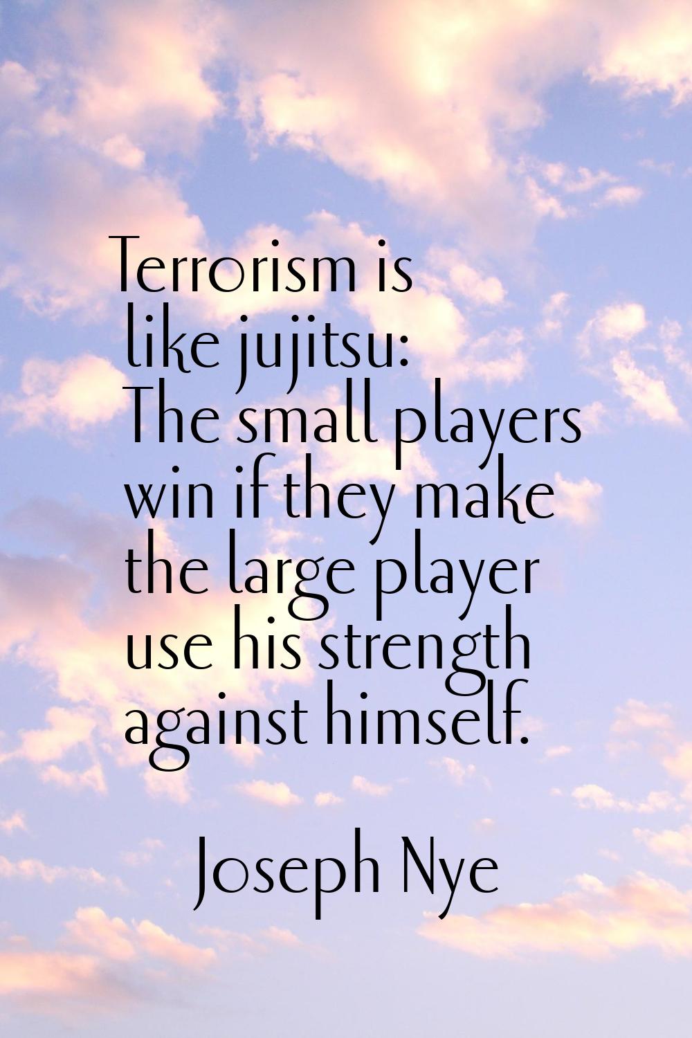 Terrorism is like jujitsu: The small players win if they make the large player use his strength aga