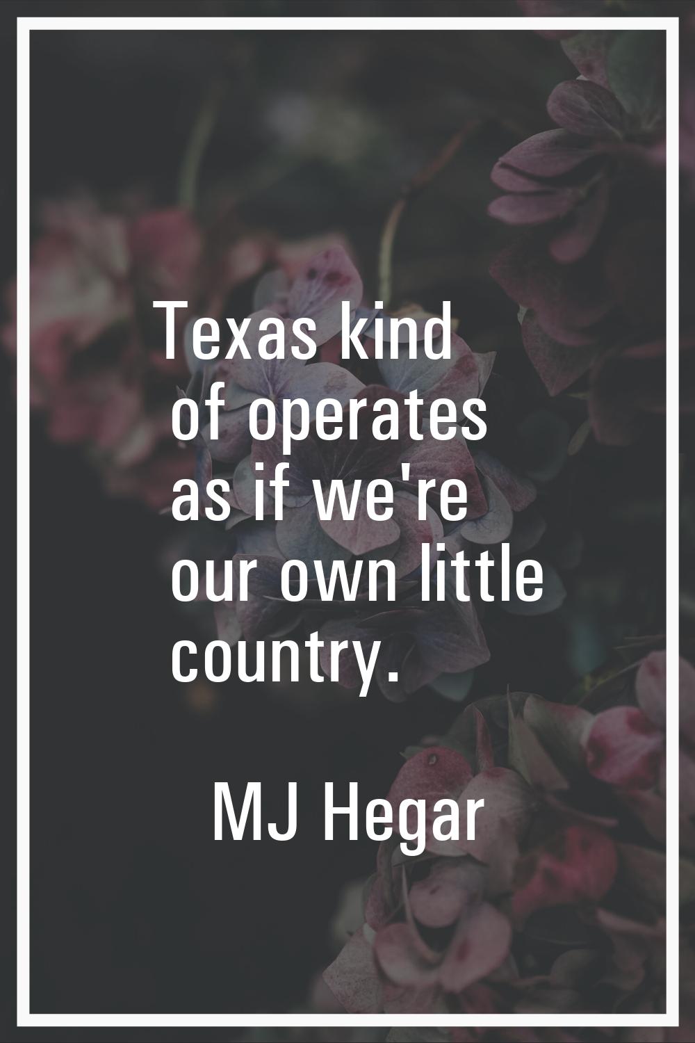 Texas kind of operates as if we're our own little country.