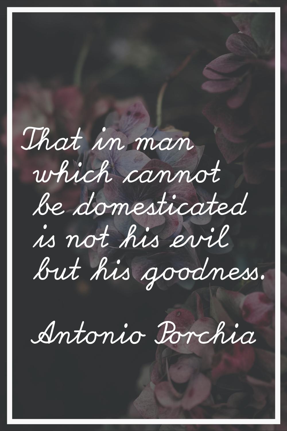 That in man which cannot be domesticated is not his evil but his goodness.