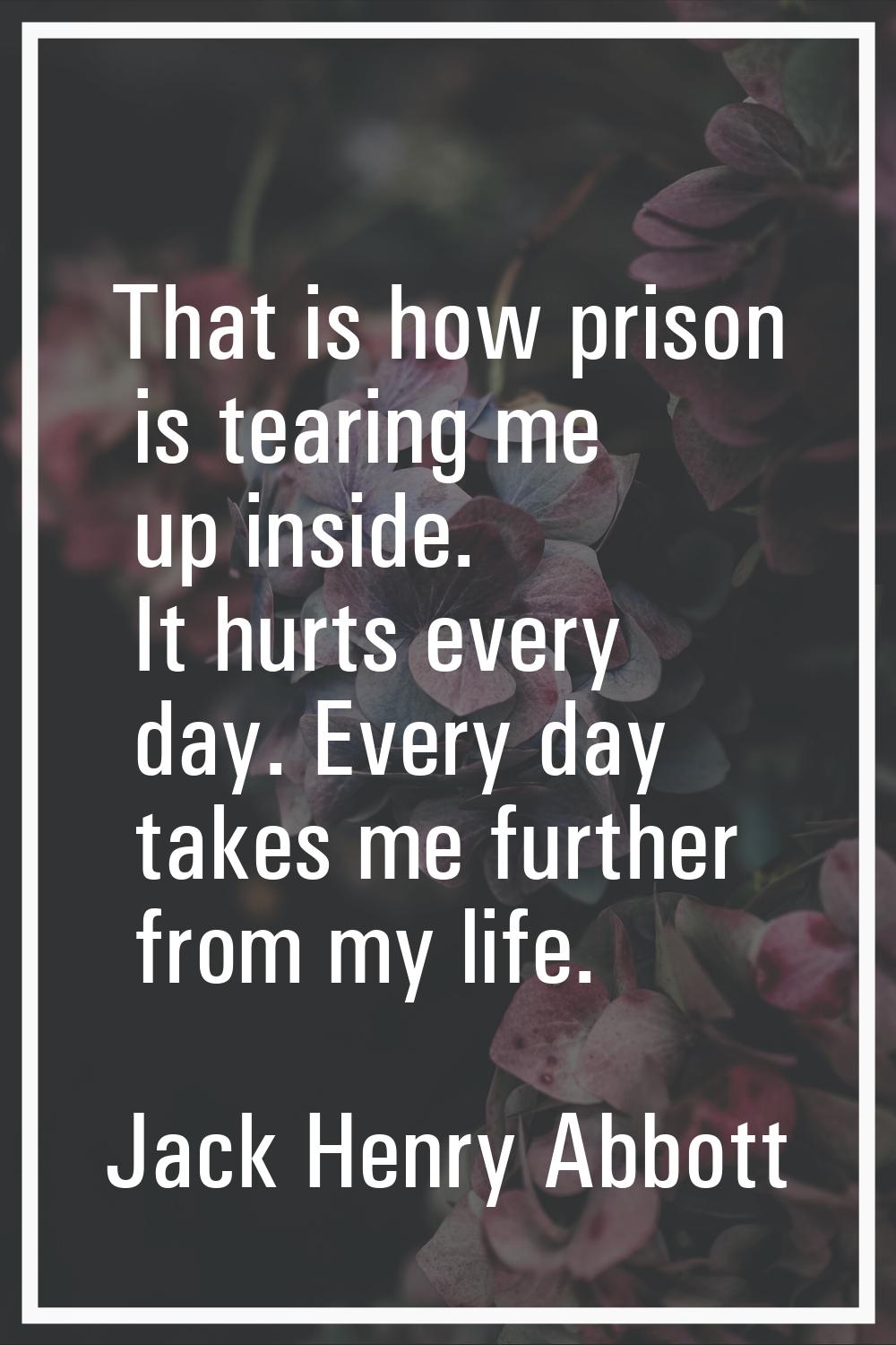 That is how prison is tearing me up inside. It hurts every day. Every day takes me further from my 