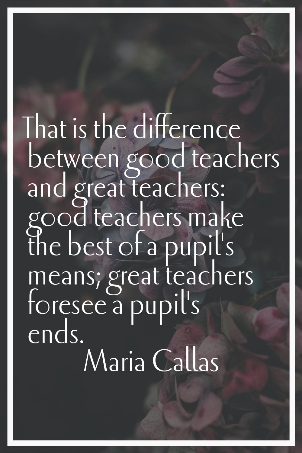That is the difference between good teachers and great teachers: good teachers make the best of a p