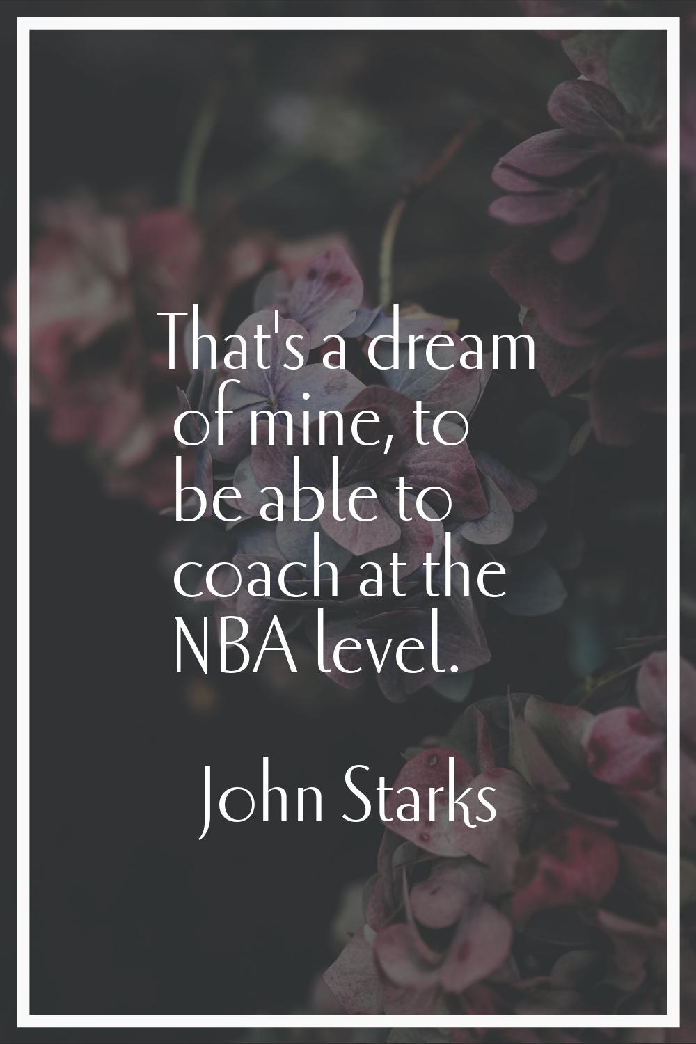That's a dream of mine, to be able to coach at the NBA level.