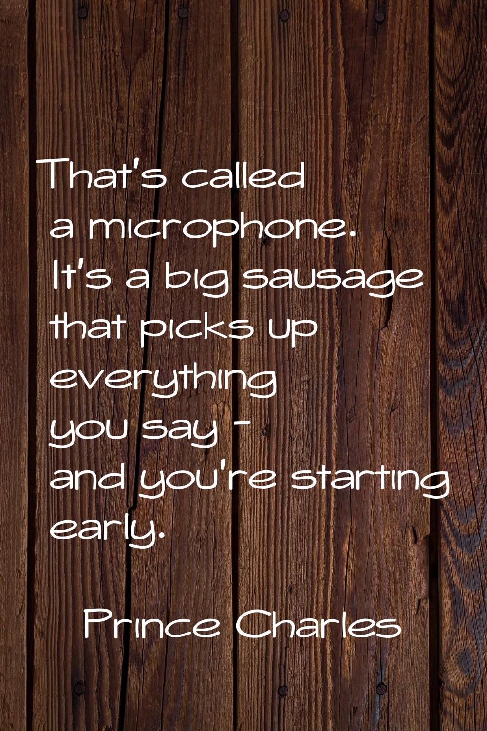 That's called a microphone. It's a big sausage that picks up everything you say - and you're starti