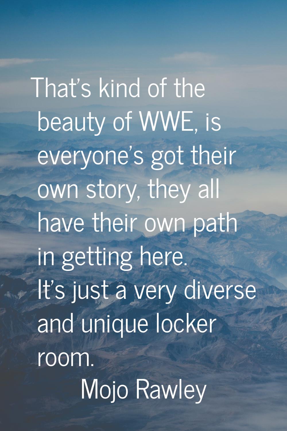 That's kind of the beauty of WWE, is everyone's got their own story, they all have their own path i
