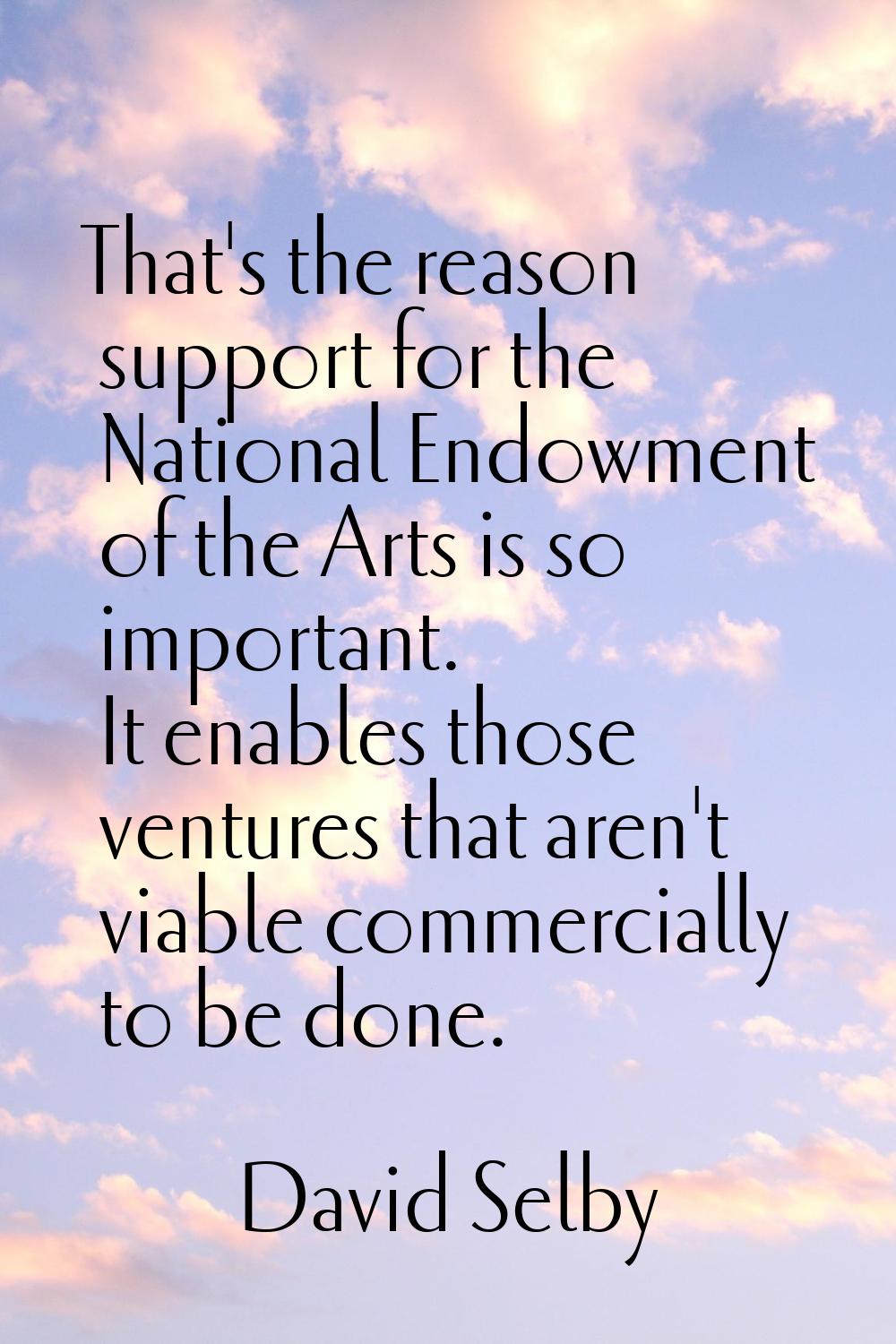 That's the reason support for the National Endowment of the Arts is so important. It enables those 