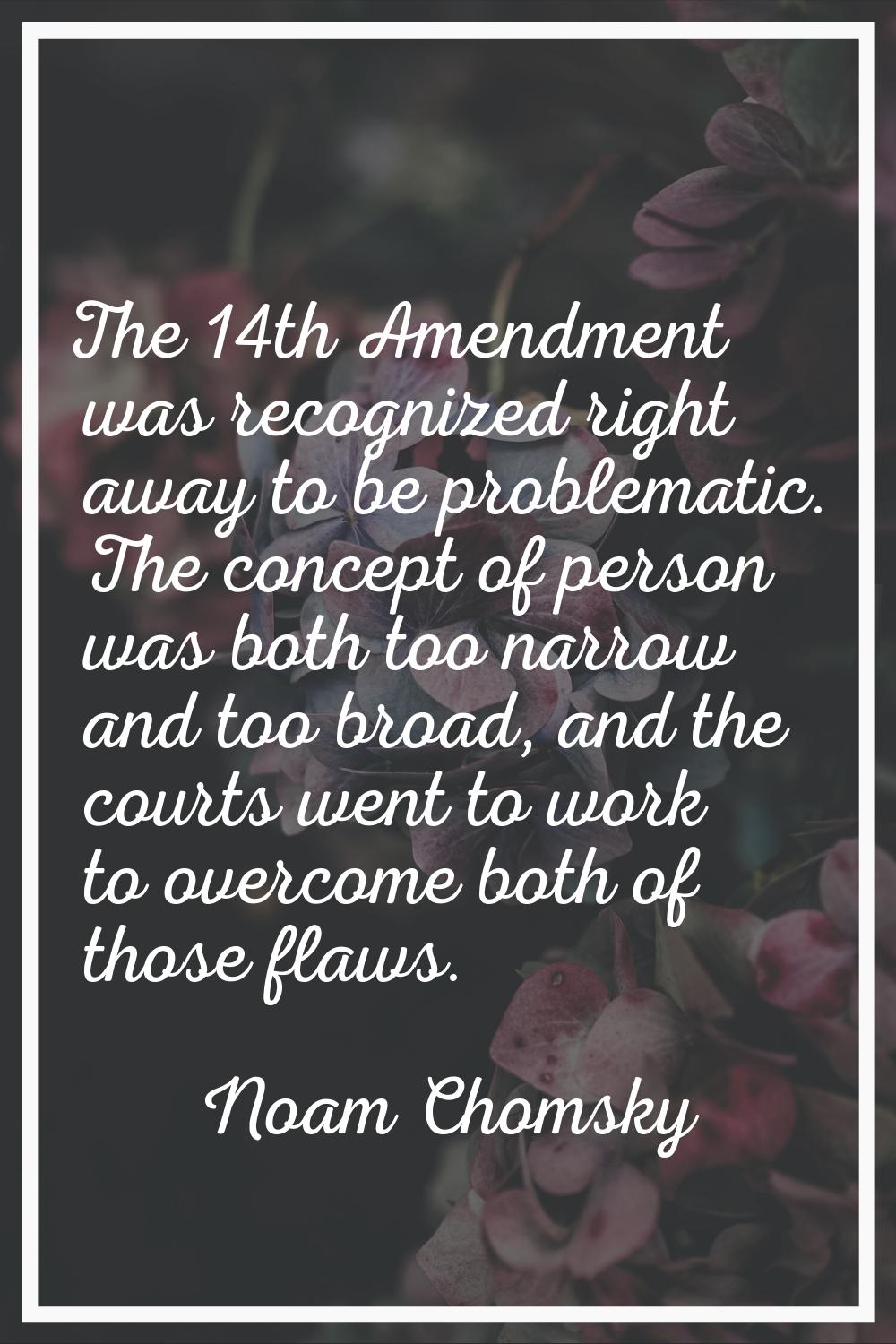 The 14th Amendment was recognized right away to be problematic. The concept of person was both too 
