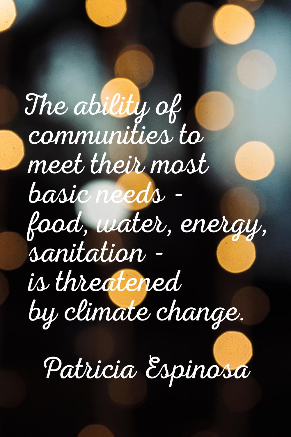 The ability of communities to meet their most basic needs - food, water, energy, sanitation - is th