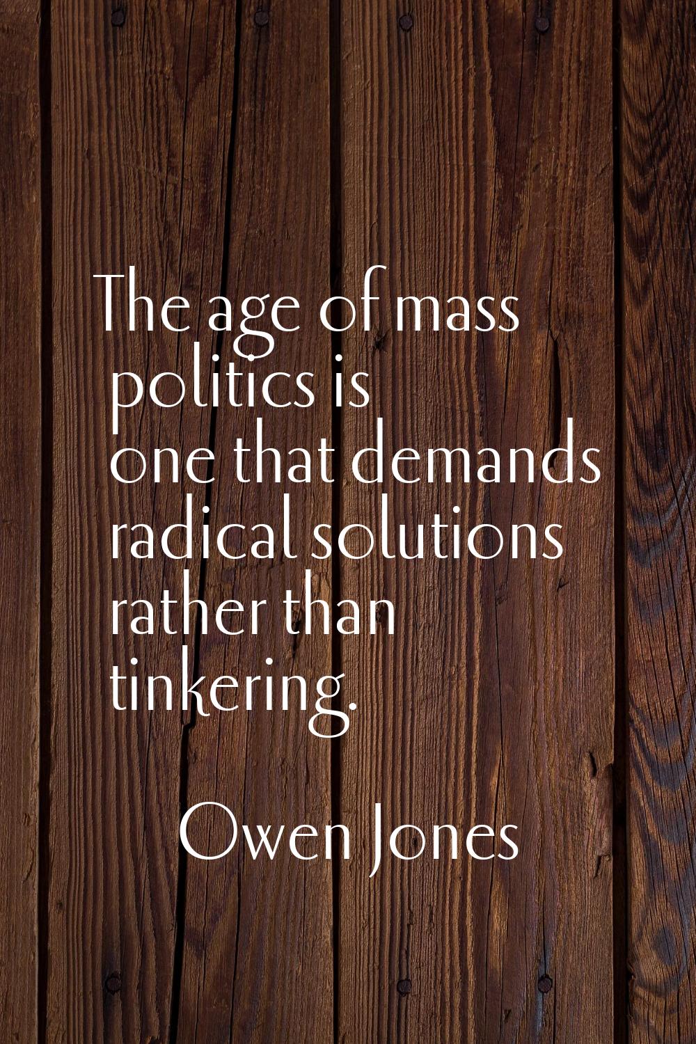 The age of mass politics is one that demands radical solutions rather than tinkering.