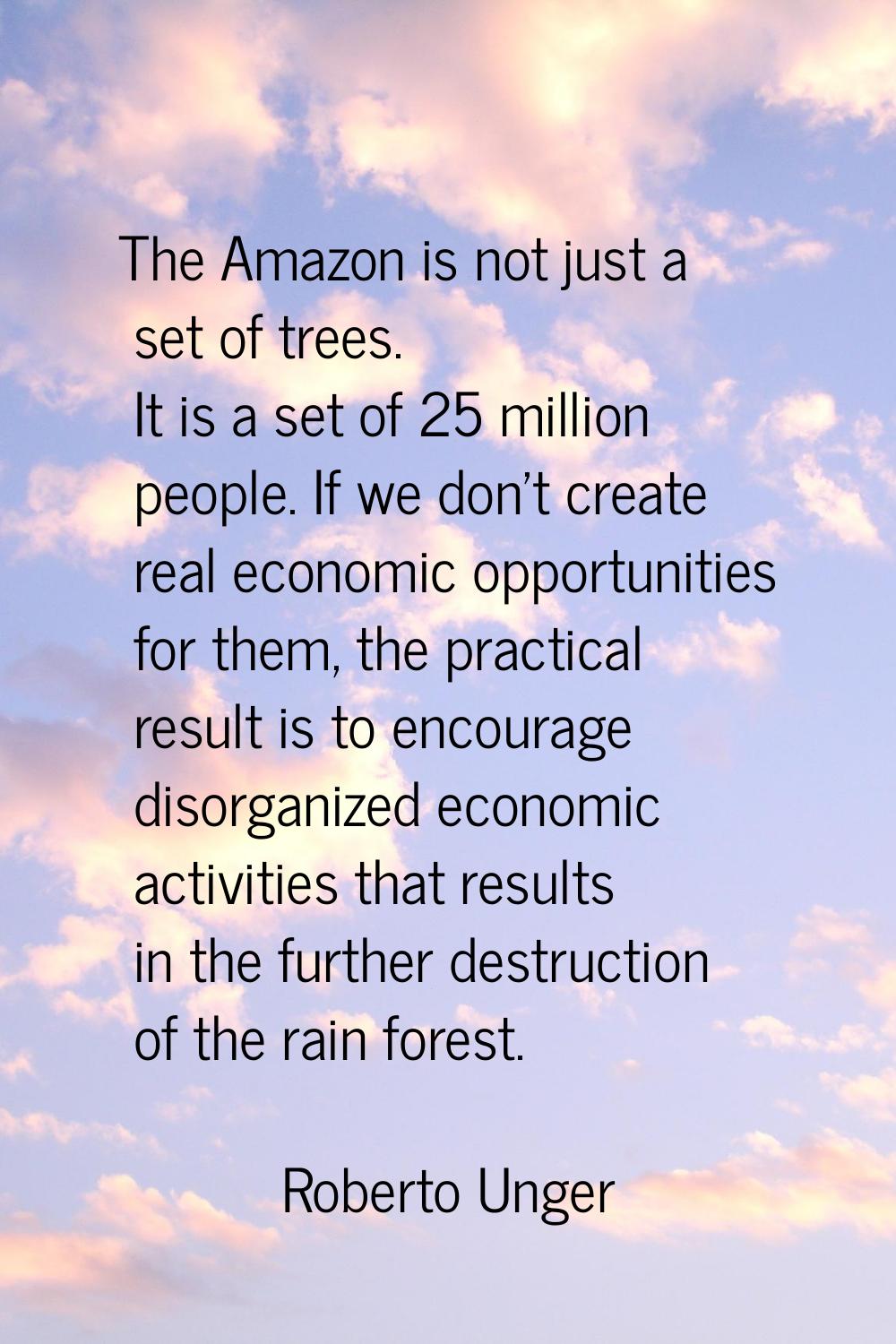 The Amazon is not just a set of trees. It is a set of 25 million people. If we don't create real ec
