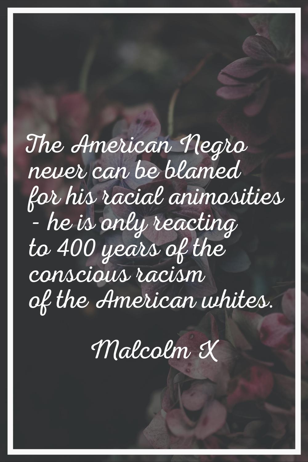The American Negro never can be blamed for his racial animosities - he is only reacting to 400 year