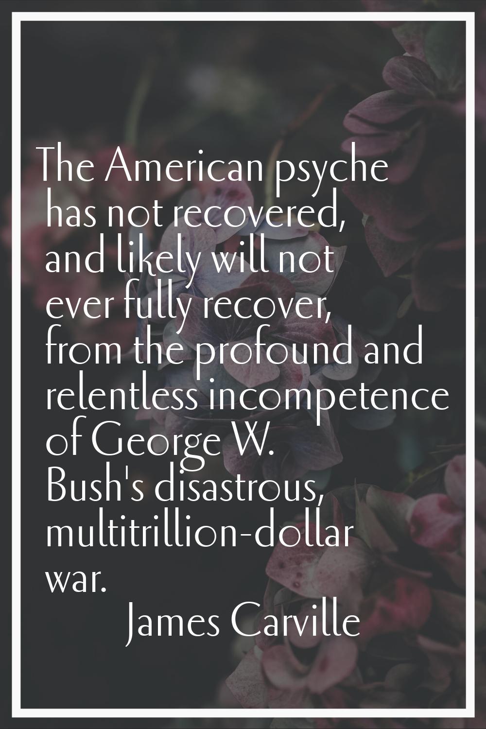 The American psyche has not recovered, and likely will not ever fully recover, from the profound an