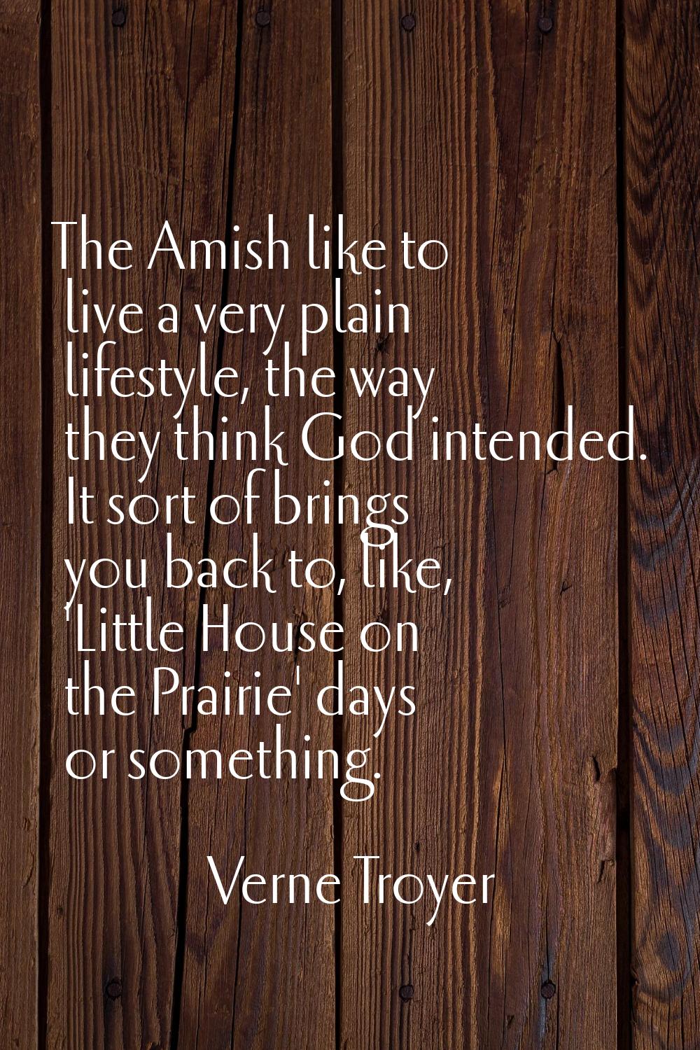 The Amish like to live a very plain lifestyle, the way they think God intended. It sort of brings y