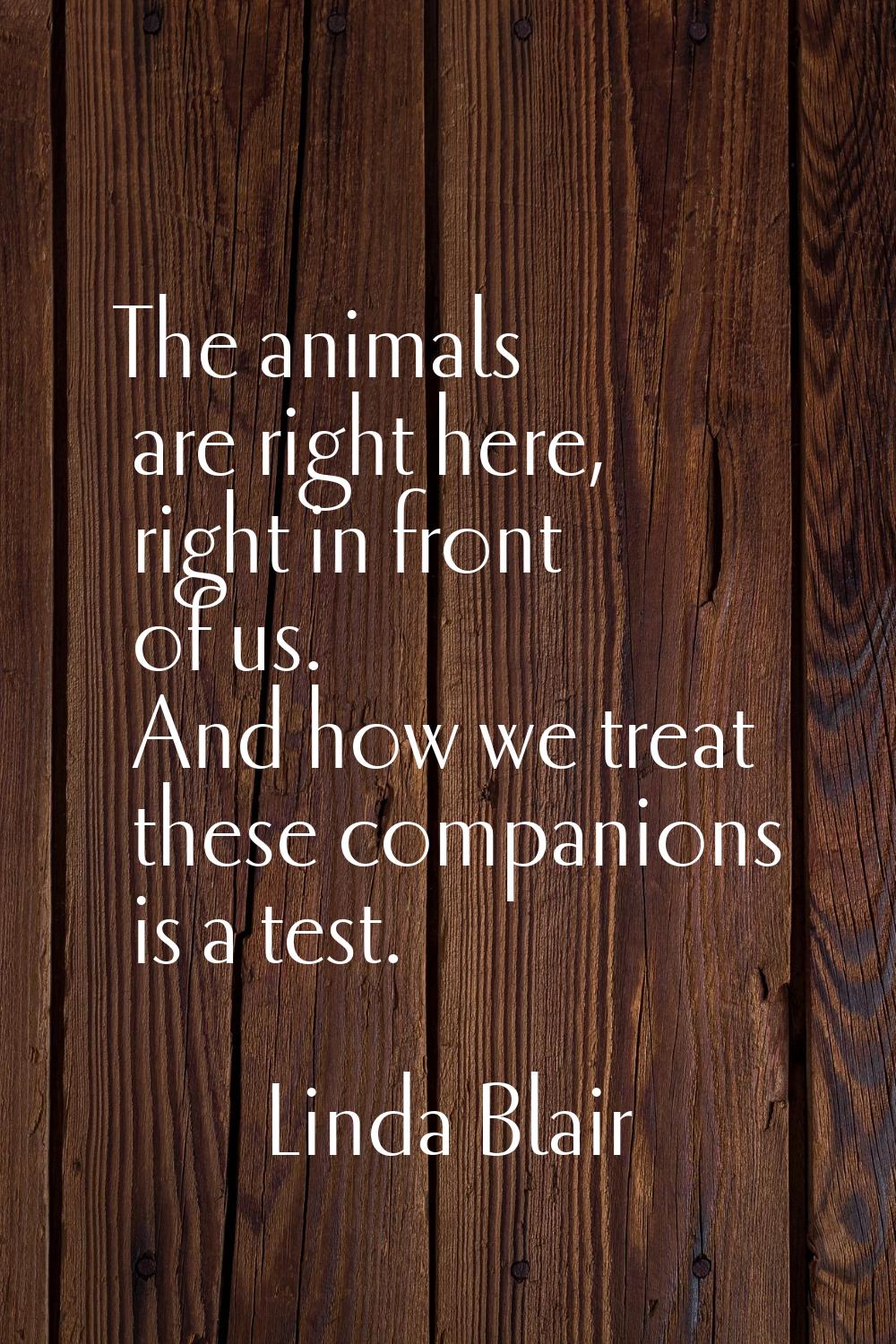 The animals are right here, right in front of us. And how we treat these companions is a test.