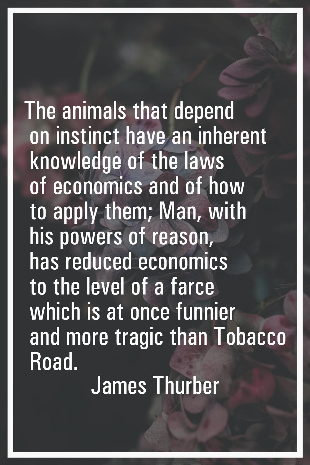 The animals that depend on instinct have an inherent knowledge of the laws of economics and of how 