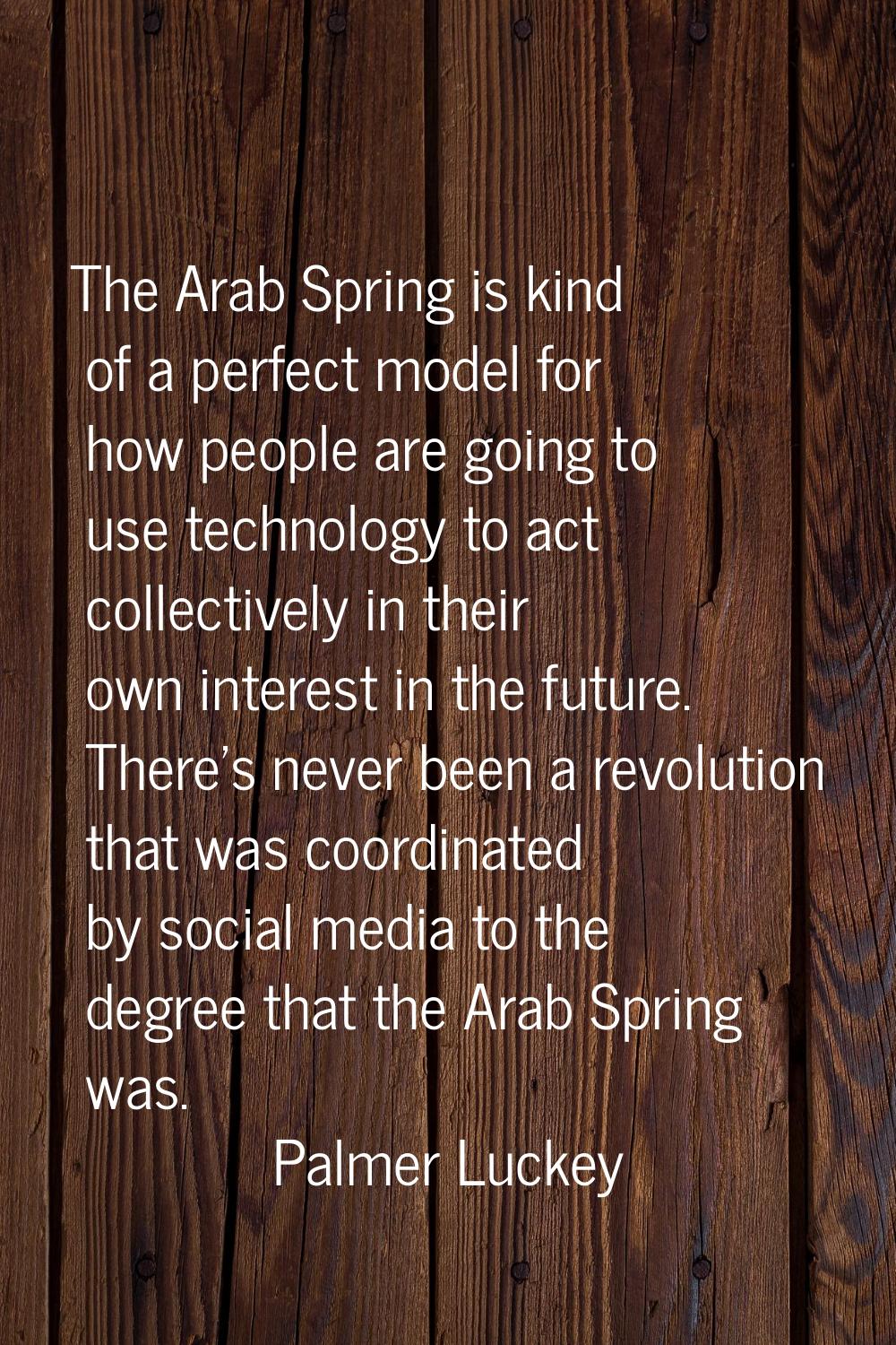 The Arab Spring is kind of a perfect model for how people are going to use technology to act collec