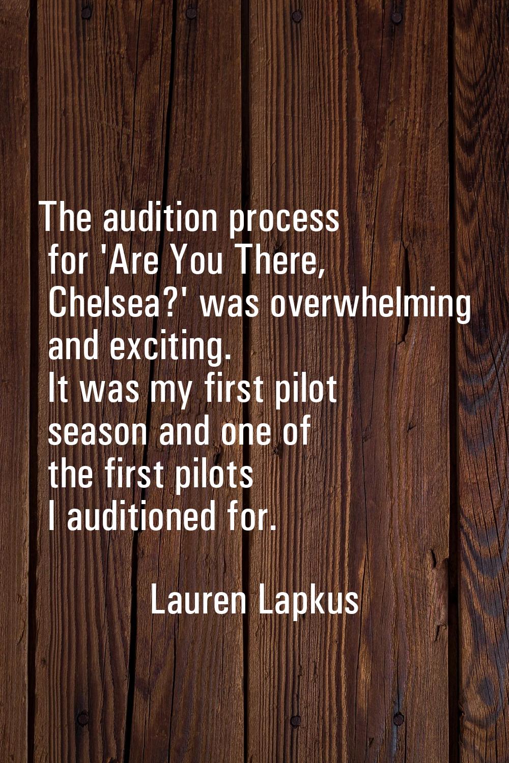 The audition process for 'Are You There, Chelsea?' was overwhelming and exciting. It was my first p