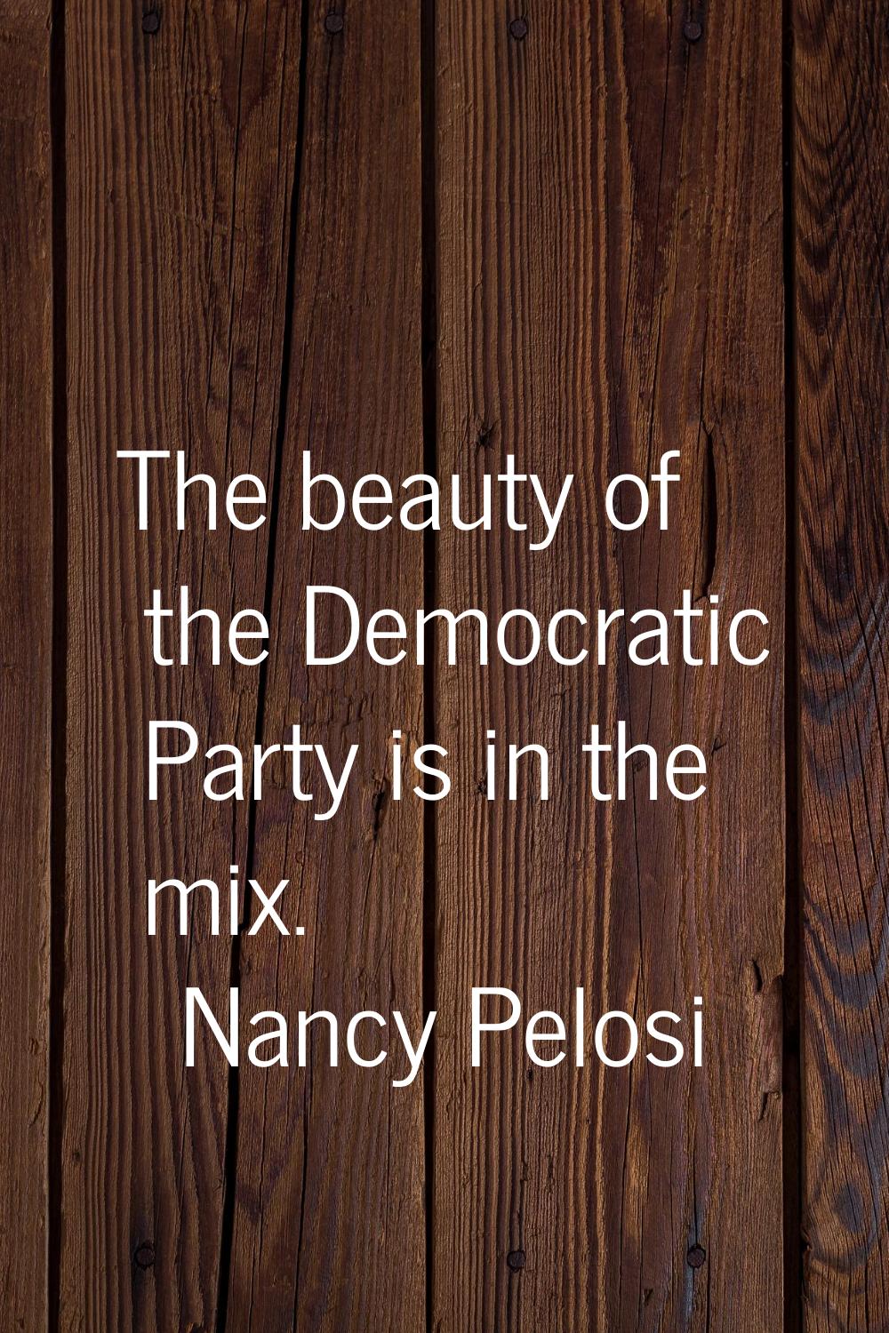 The beauty of the Democratic Party is in the mix.
