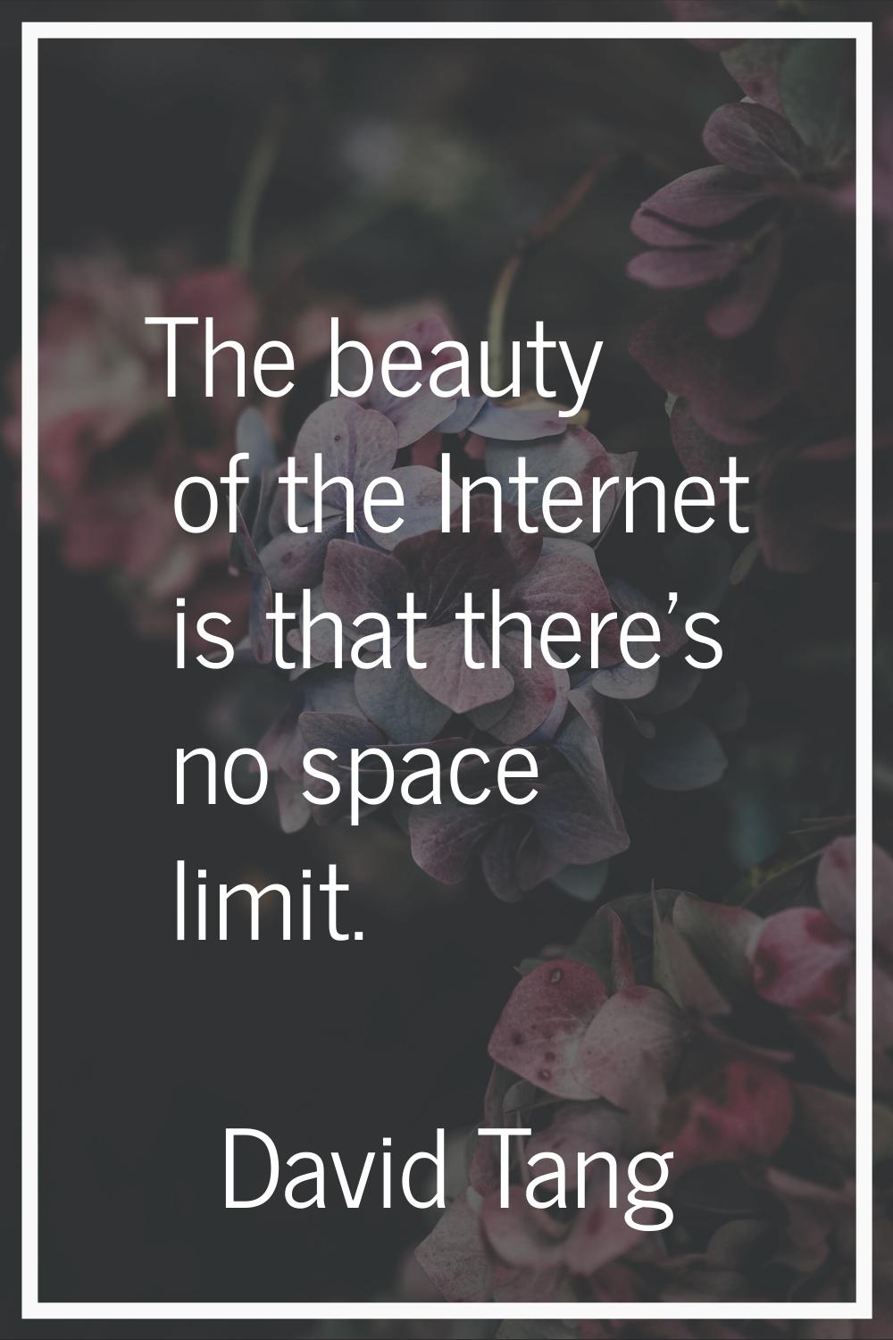 The beauty of the Internet is that there's no space limit.