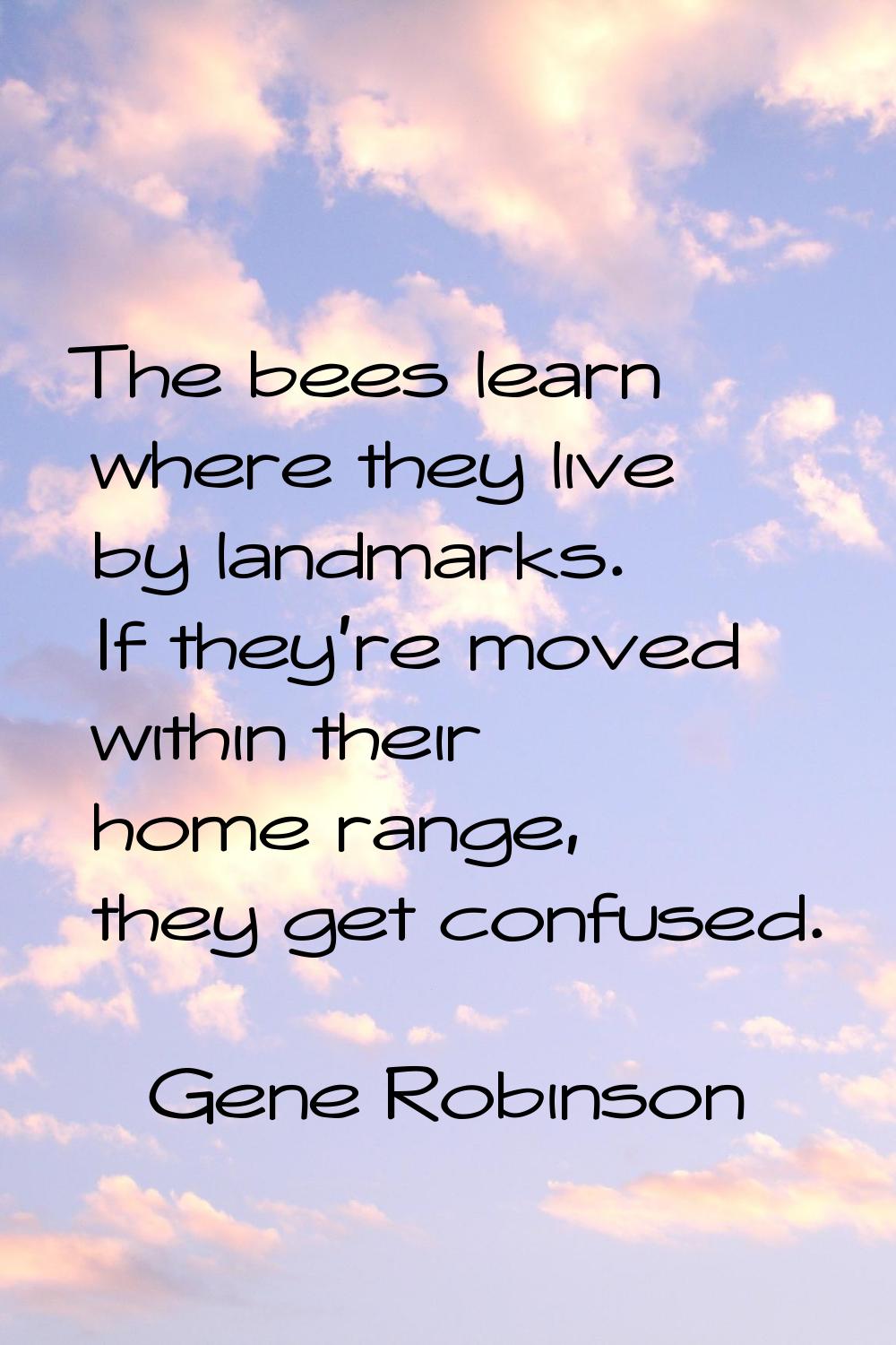 The bees learn where they live by landmarks. If they're moved within their home range, they get con