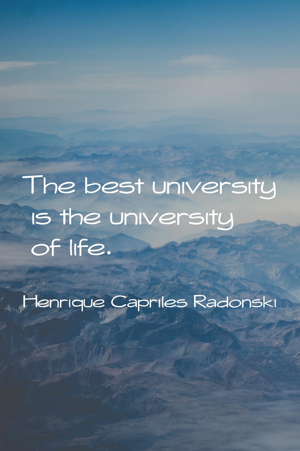 The best university is the university of life.