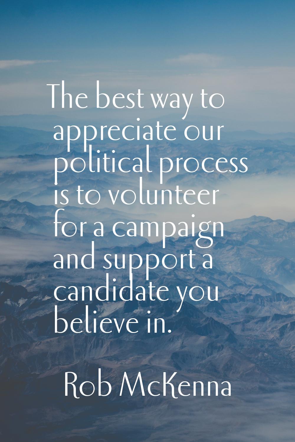 The best way to appreciate our political process is to volunteer for a campaign and support a candi