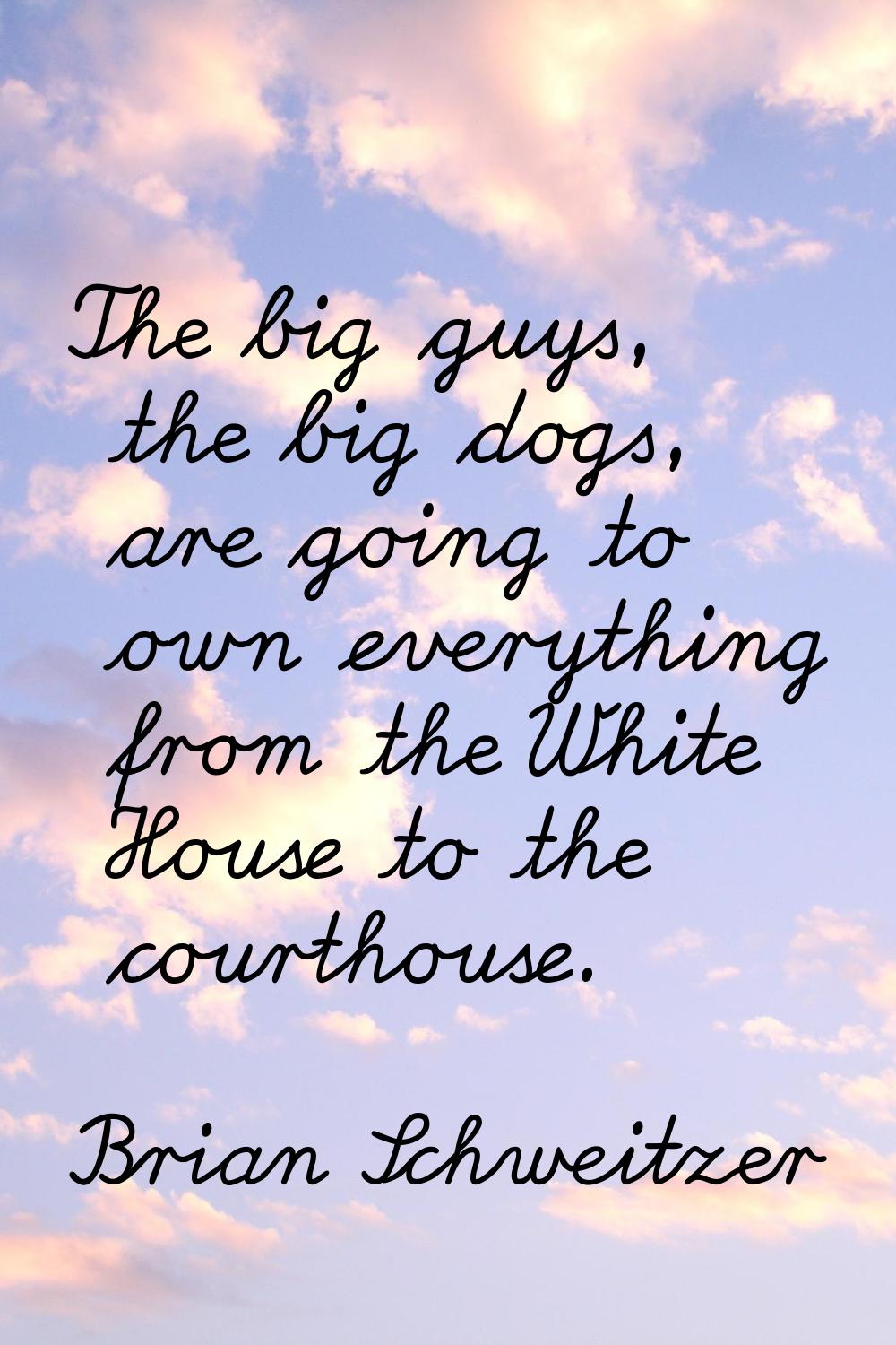 The big guys, the big dogs, are going to own everything from the White House to the courthouse.