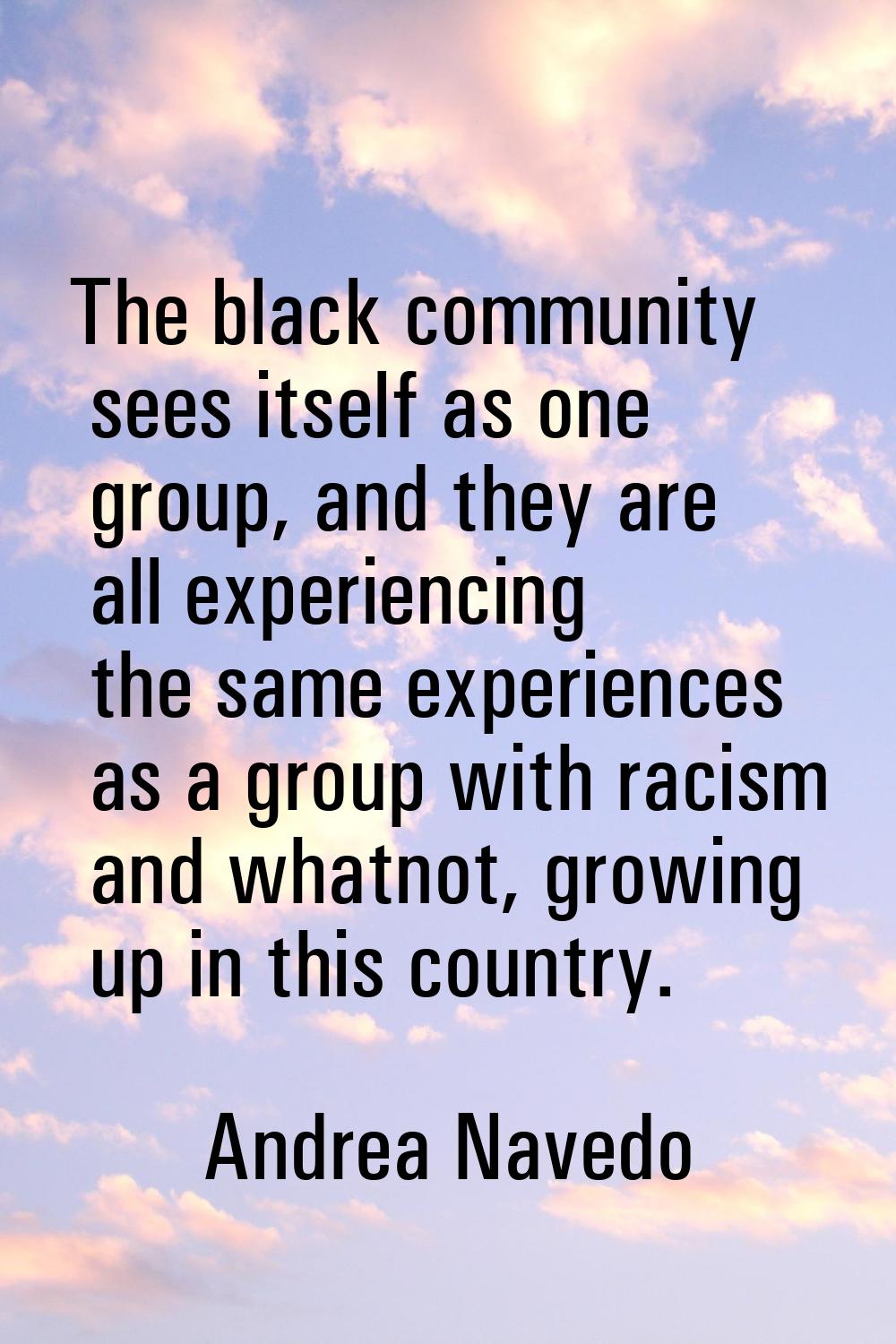 The black community sees itself as one group, and they are all experiencing the same experiences as