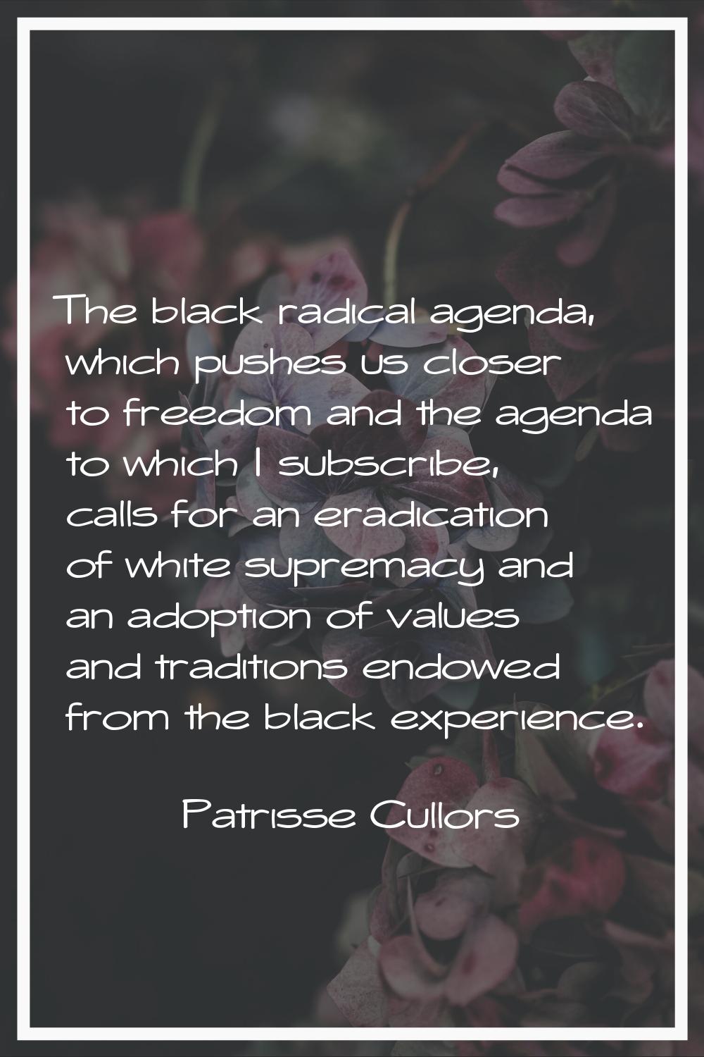 The black radical agenda, which pushes us closer to freedom and the agenda to which I subscribe, ca