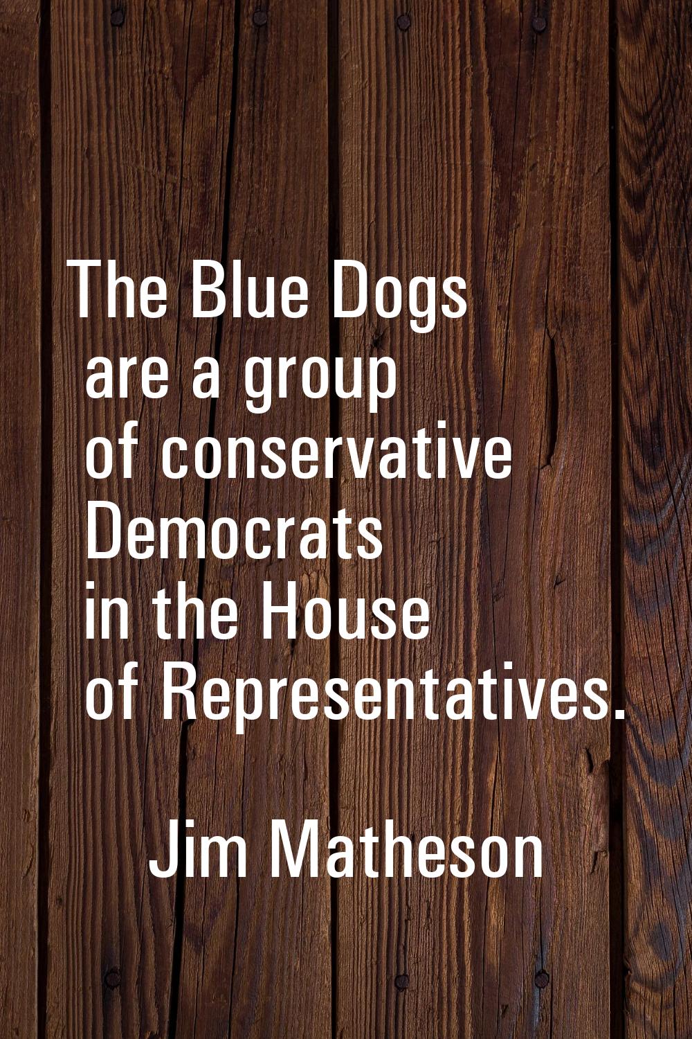The Blue Dogs are a group of conservative Democrats in the House of Representatives.