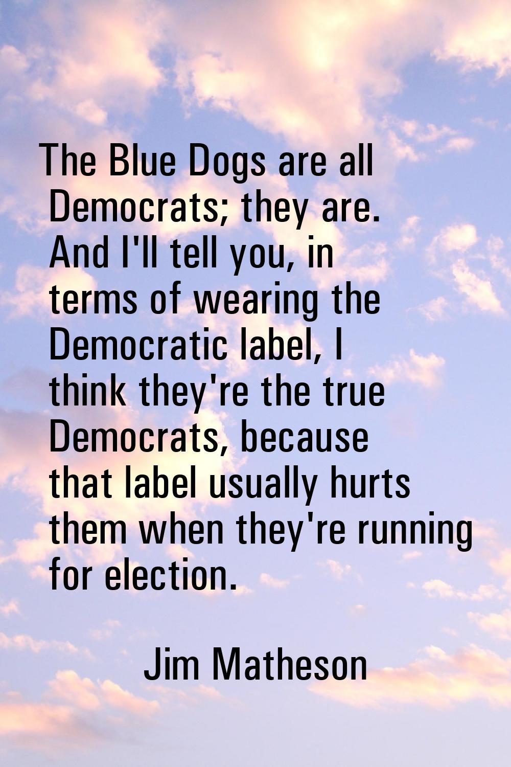 The Blue Dogs are all Democrats; they are. And I'll tell you, in terms of wearing the Democratic la