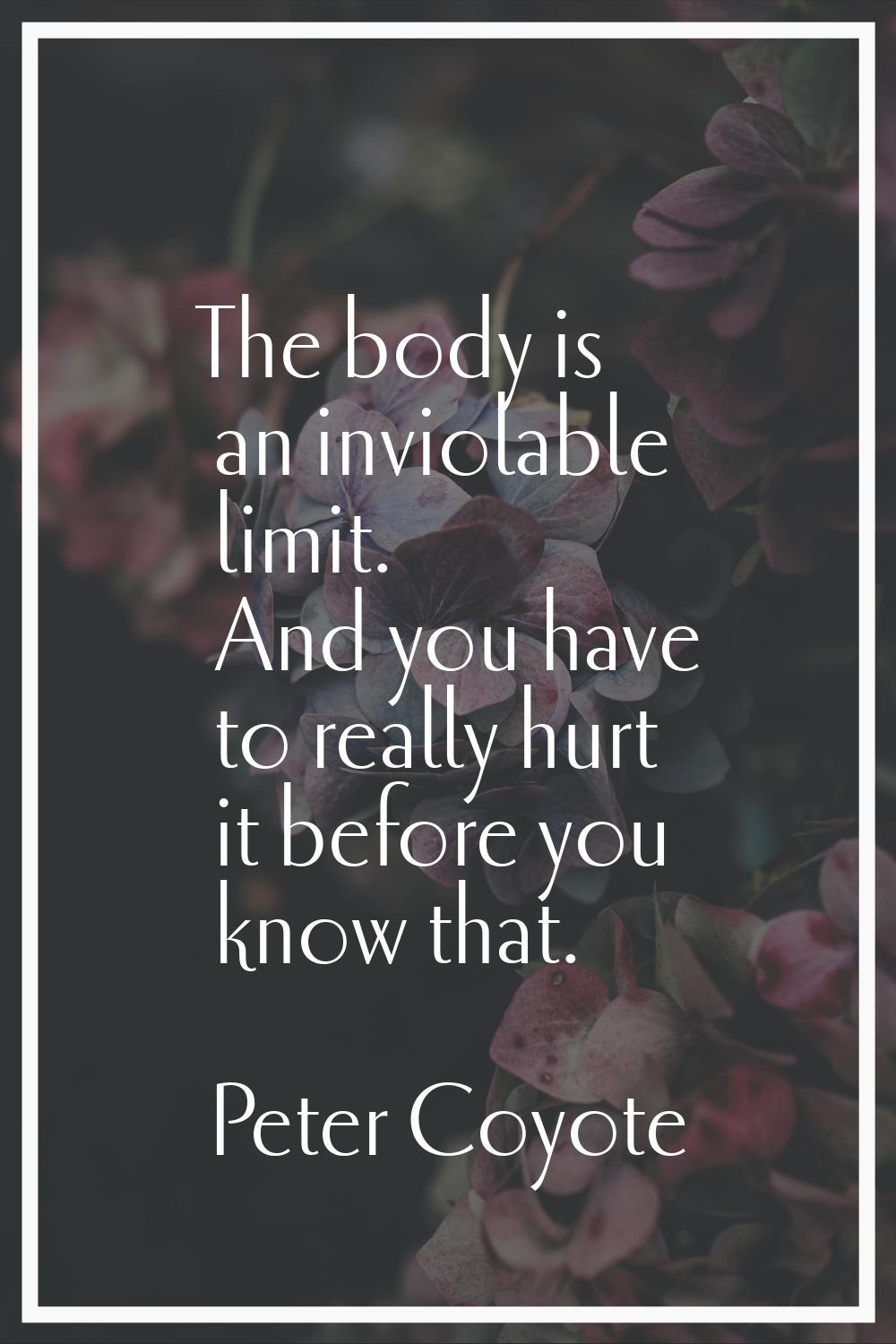 The body is an inviolable limit. And you have to really hurt it before you know that.