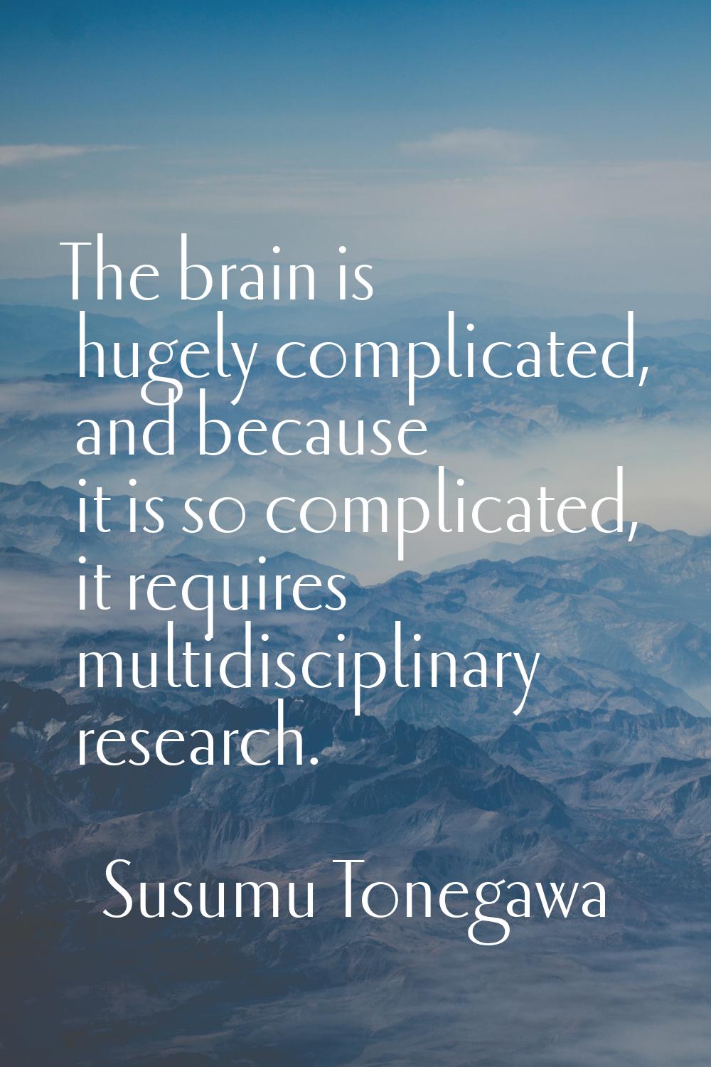 The brain is hugely complicated, and because it is so complicated, it requires multidisciplinary re