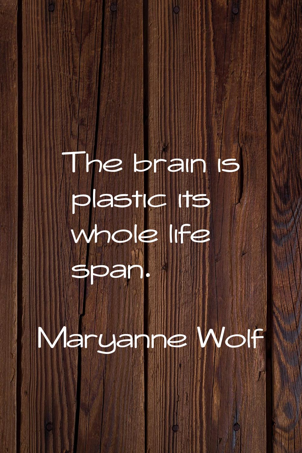 The brain is plastic its whole life span.