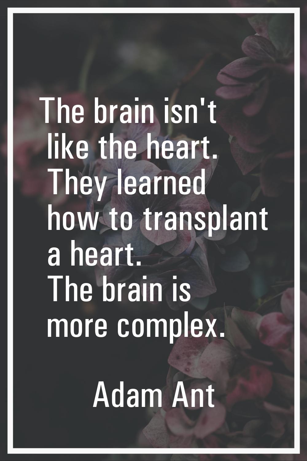 The brain isn't like the heart. They learned how to transplant a heart. The brain is more complex.