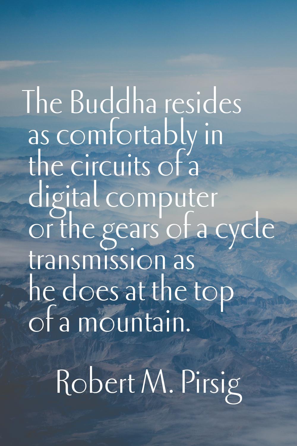 The Buddha resides as comfortably in the circuits of a digital computer or the gears of a cycle tra