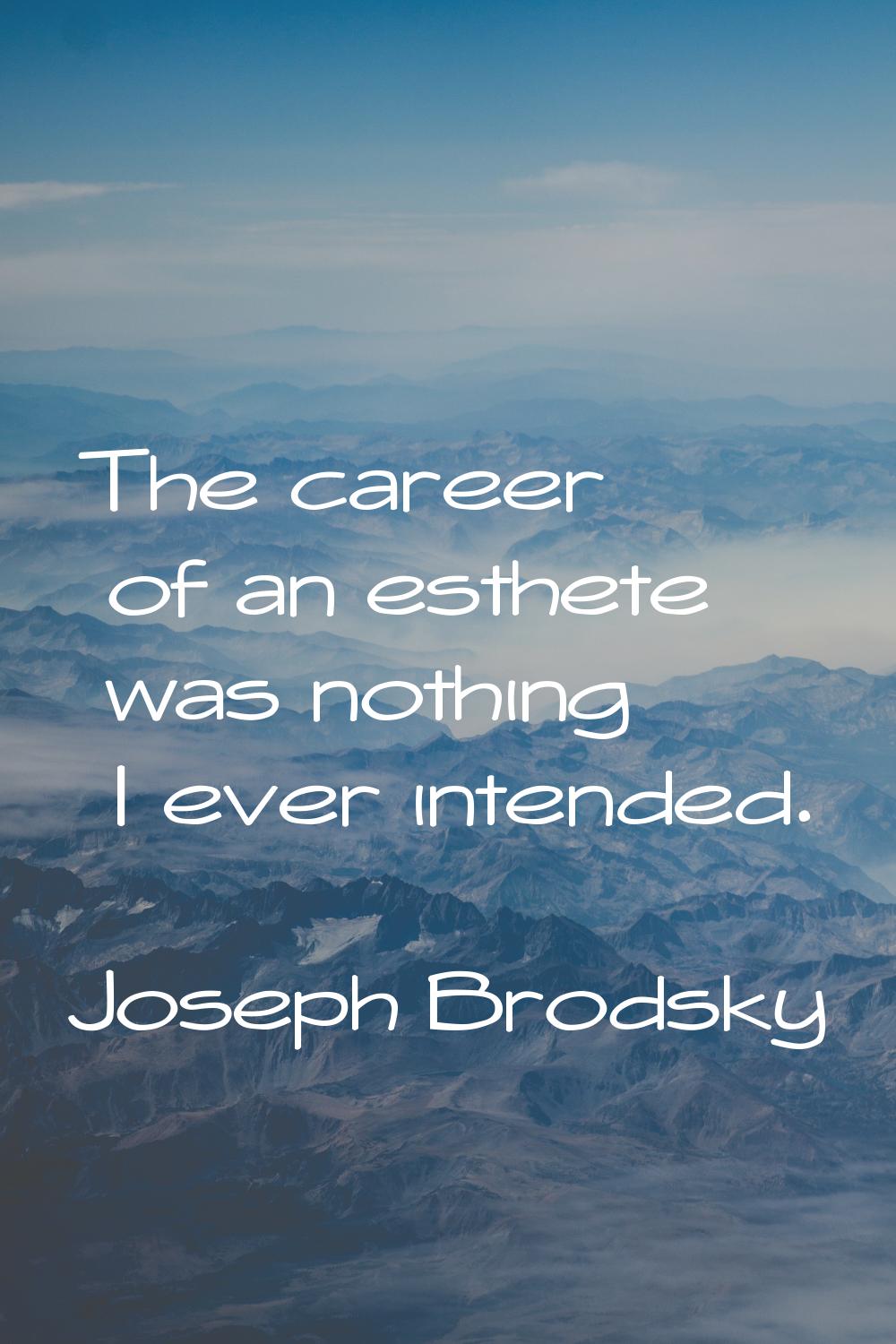 The career of an esthete was nothing I ever intended.