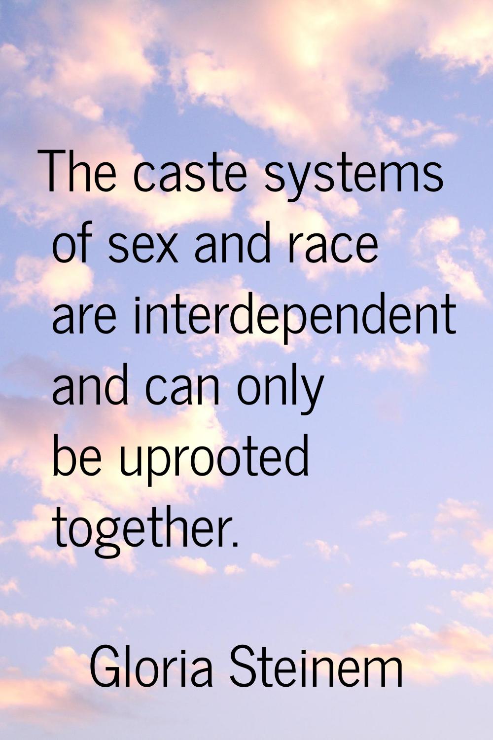 The caste systems of sex and race are interdependent and can only be uprooted together.