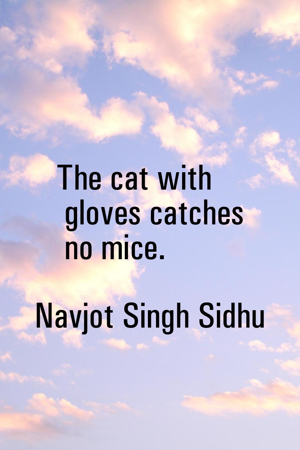 The cat with gloves catches no mice.