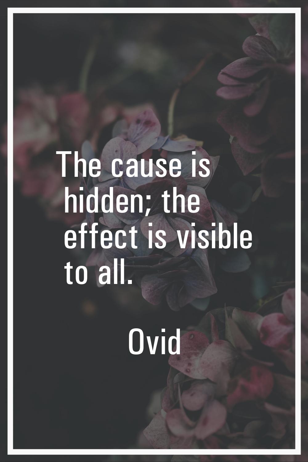 The cause is hidden; the effect is visible to all.