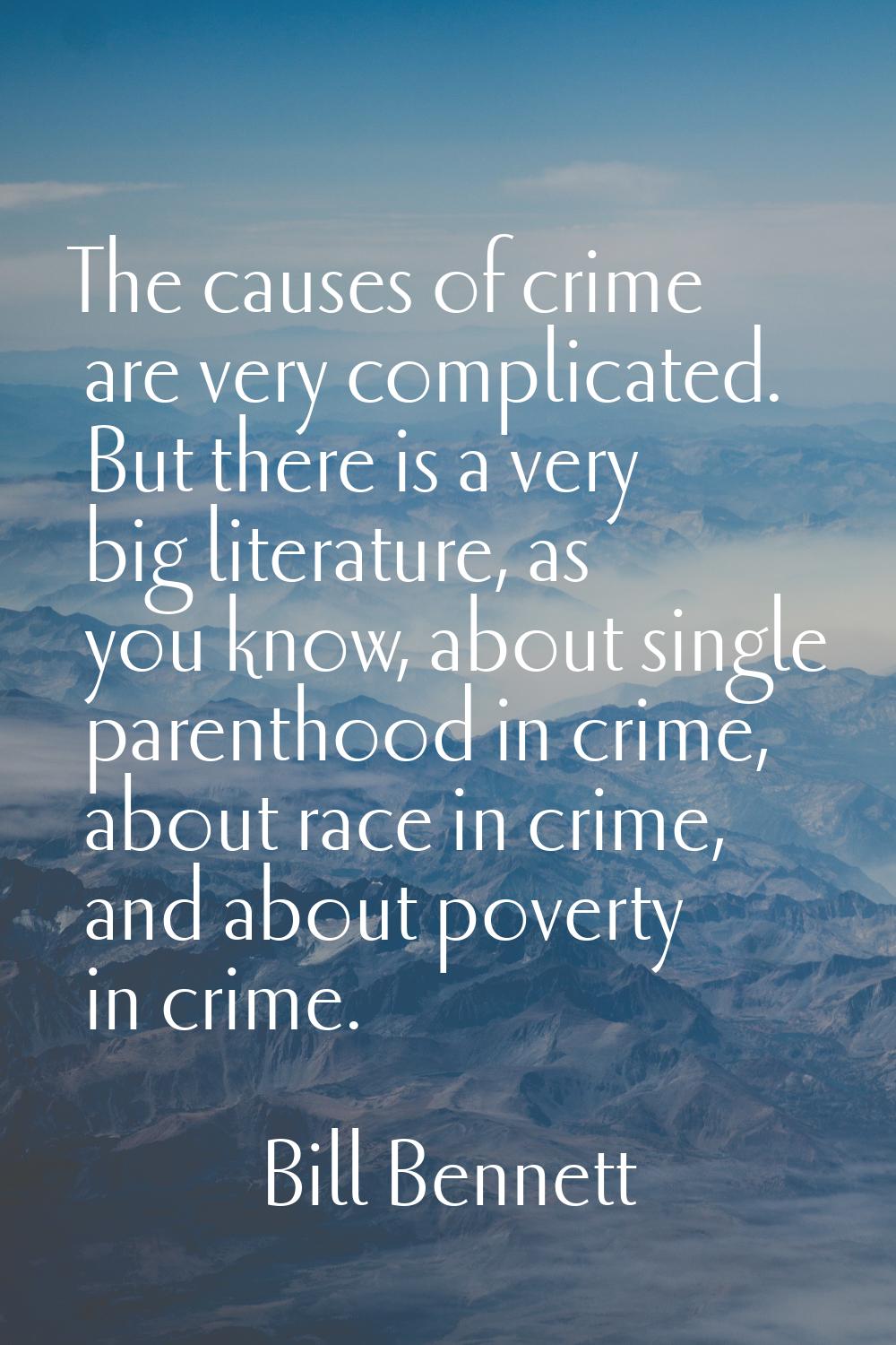 The causes of crime are very complicated. But there is a very big literature, as you know, about si