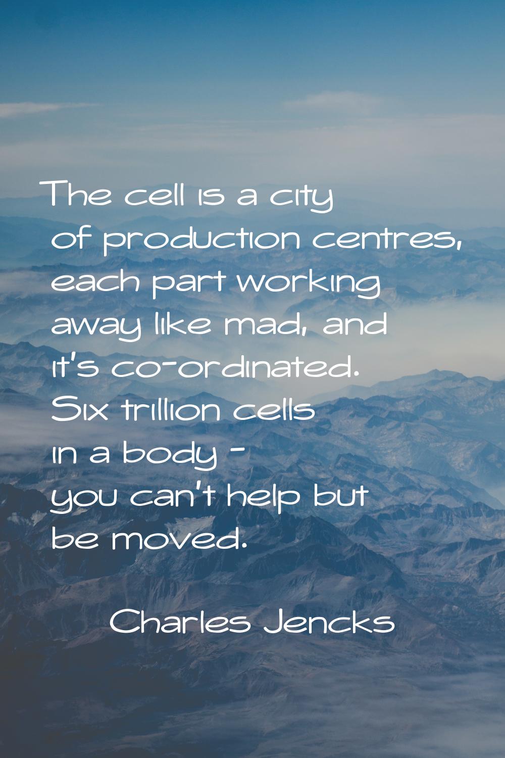 The cell is a city of production centres, each part working away like mad, and it's co-ordinated. S