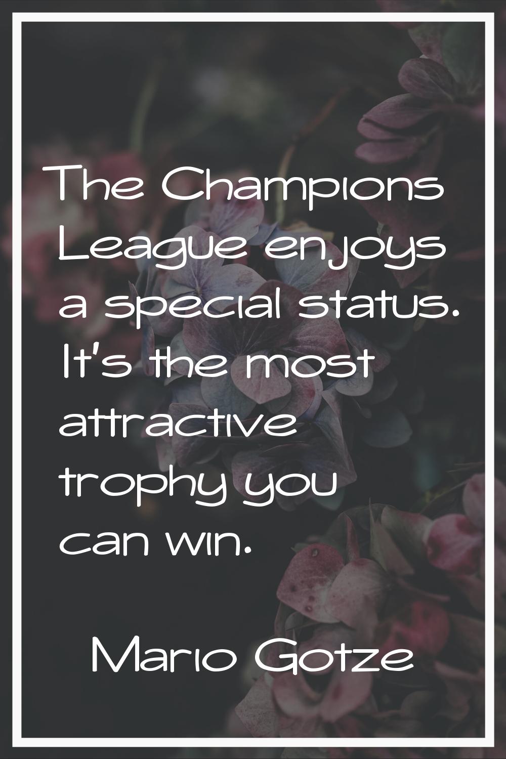 The Champions League enjoys a special status. It's the most attractive trophy you can win.