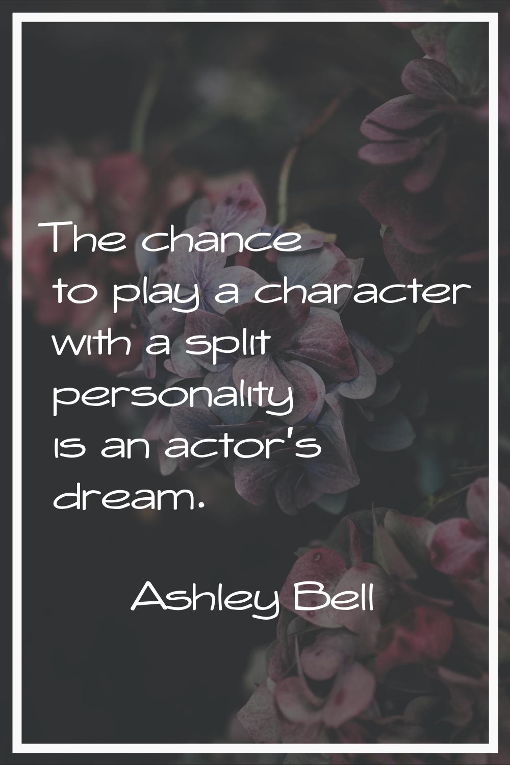 The chance to play a character with a split personality is an actor's dream.